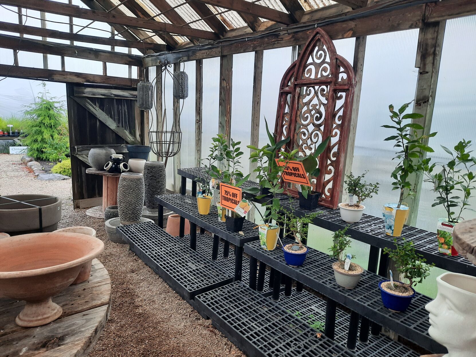 Bloch's Farm-3